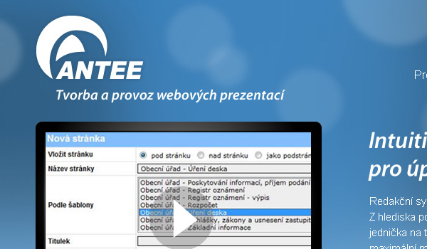 antee11
