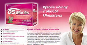 GS Merilin