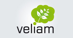 Veliam logo