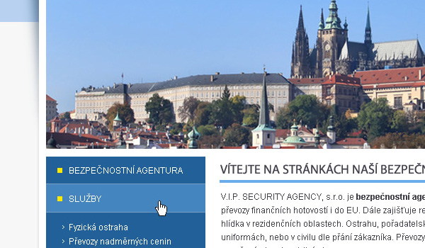 vipsecurity11